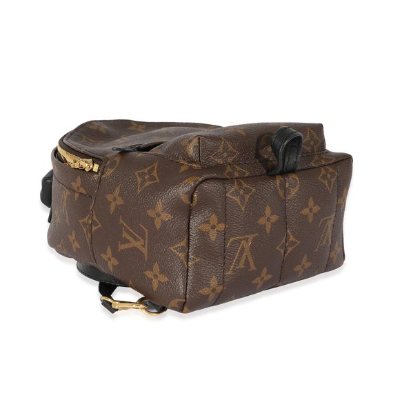 Louis Vuitton Monogram Canvas Palm Springs Mini Backpack - Picture 5 of 6